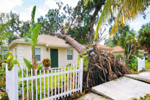 Storm Damage Claim Lawyer Florida | AMB Law