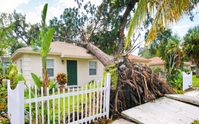 Why You Need a Property Damage Lawyer in Florida When Filing a Property Damage Insurance Claim…